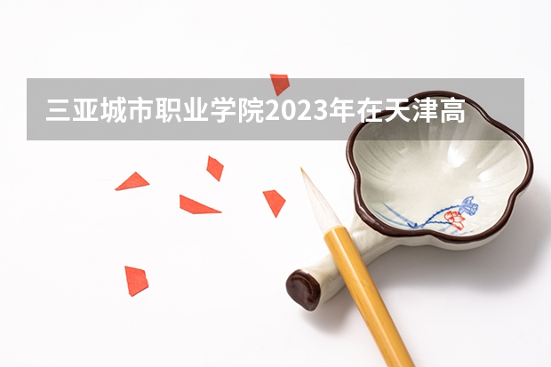 三亚城市职业学院2023年在天津高考招生多少人