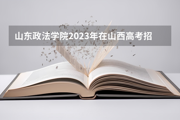 山东政法学院2023年在山西高考招生多少人