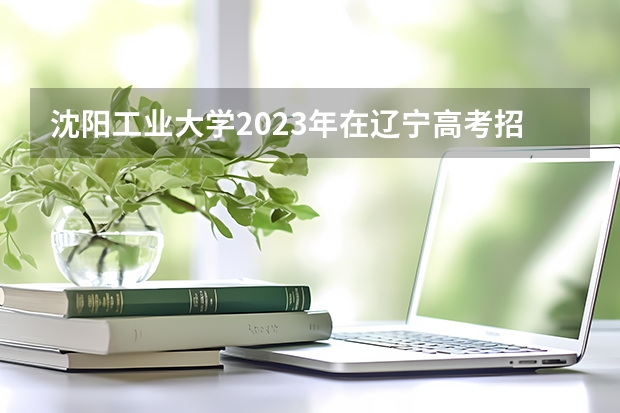 沈阳工业大学2023年在辽宁高考招生多少人