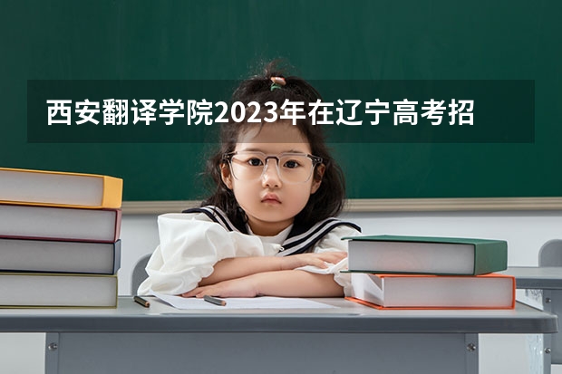 西安翻译学院2023年在辽宁高考招生多少人