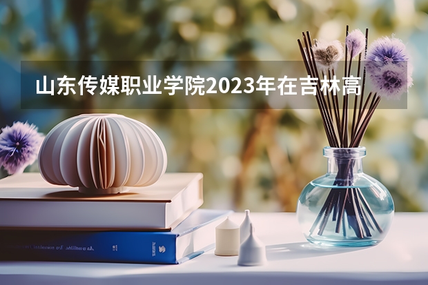 山东传媒职业学院2023年在吉林高考招生多少人