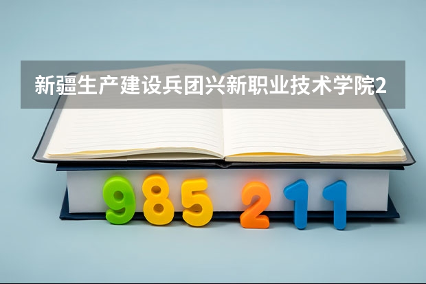 新疆生产建设兵团兴新职业技术学院2023年在安徽高考招生多少人