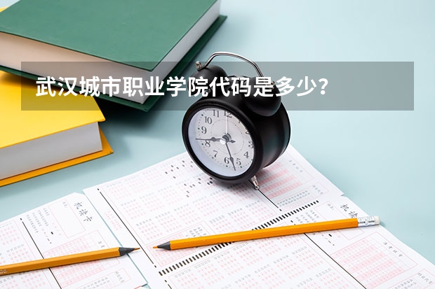 武汉城市职业学院代码是多少？